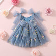 dusty blue baby dress with embroidery