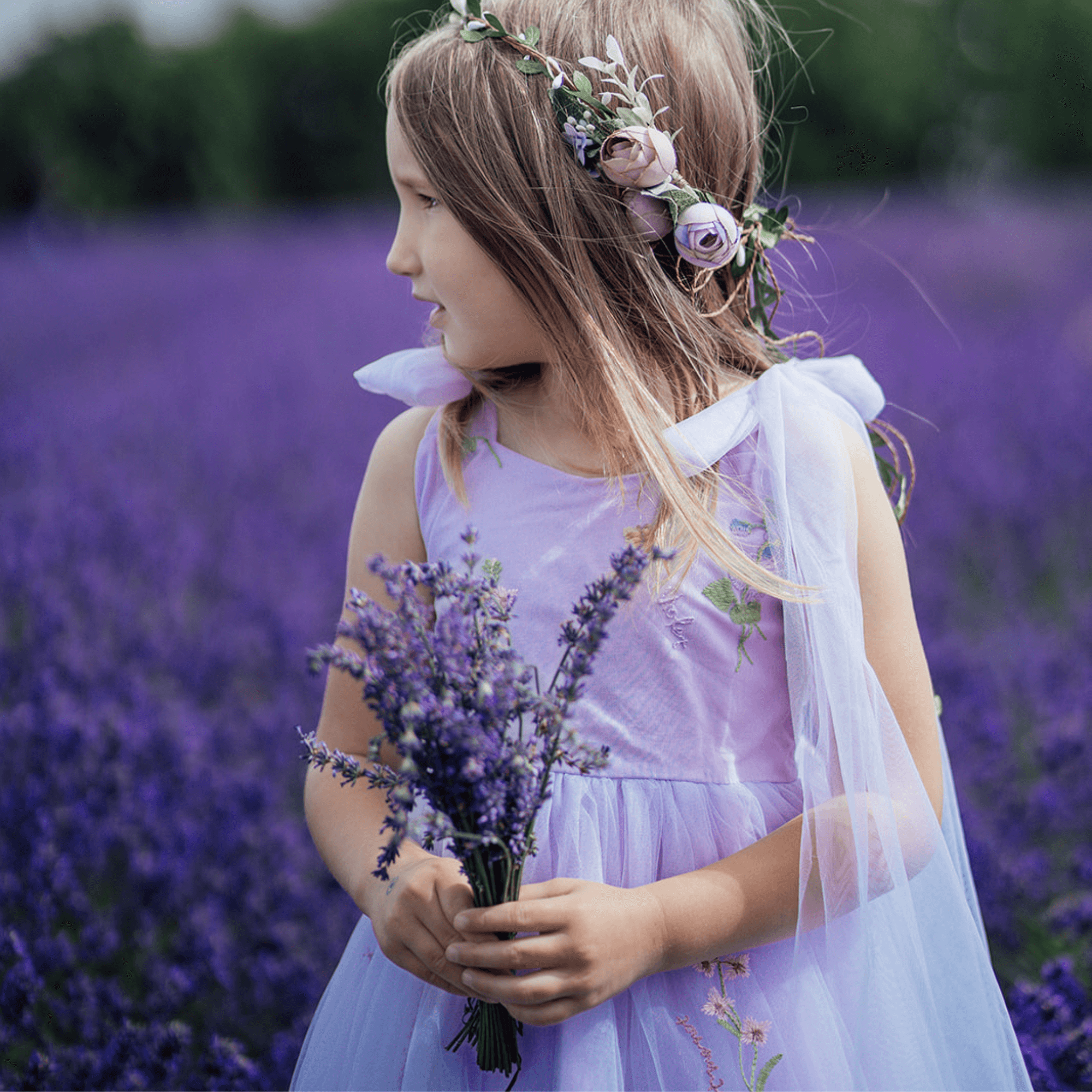 Enchanted Angel Dress Embroidered Lilac - Main Image