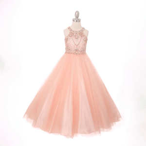 blush full length princess-style dress