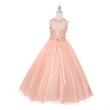 Rear of Blush coloured full length princess-style dress