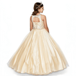 Champagne coloured full length princess-style dress