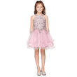 girl wearing a mauve Clara Party Dress 