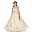 girl wearing a lemon coloured full length princess-style dress