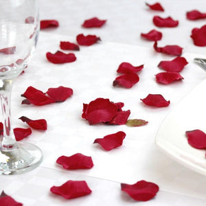 Red petals on a white table cloth
