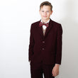 Young boy wearing suit