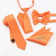 Deep Orange  tie and accessories set